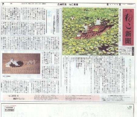 mainichi shinbun 2001.06.15